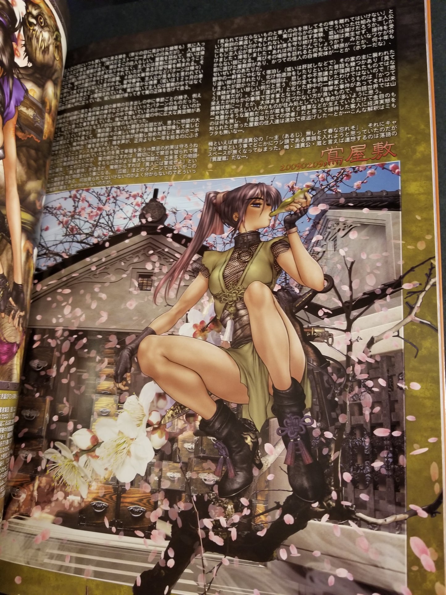 Kokin TogiHime Princess Zoushi Art Book