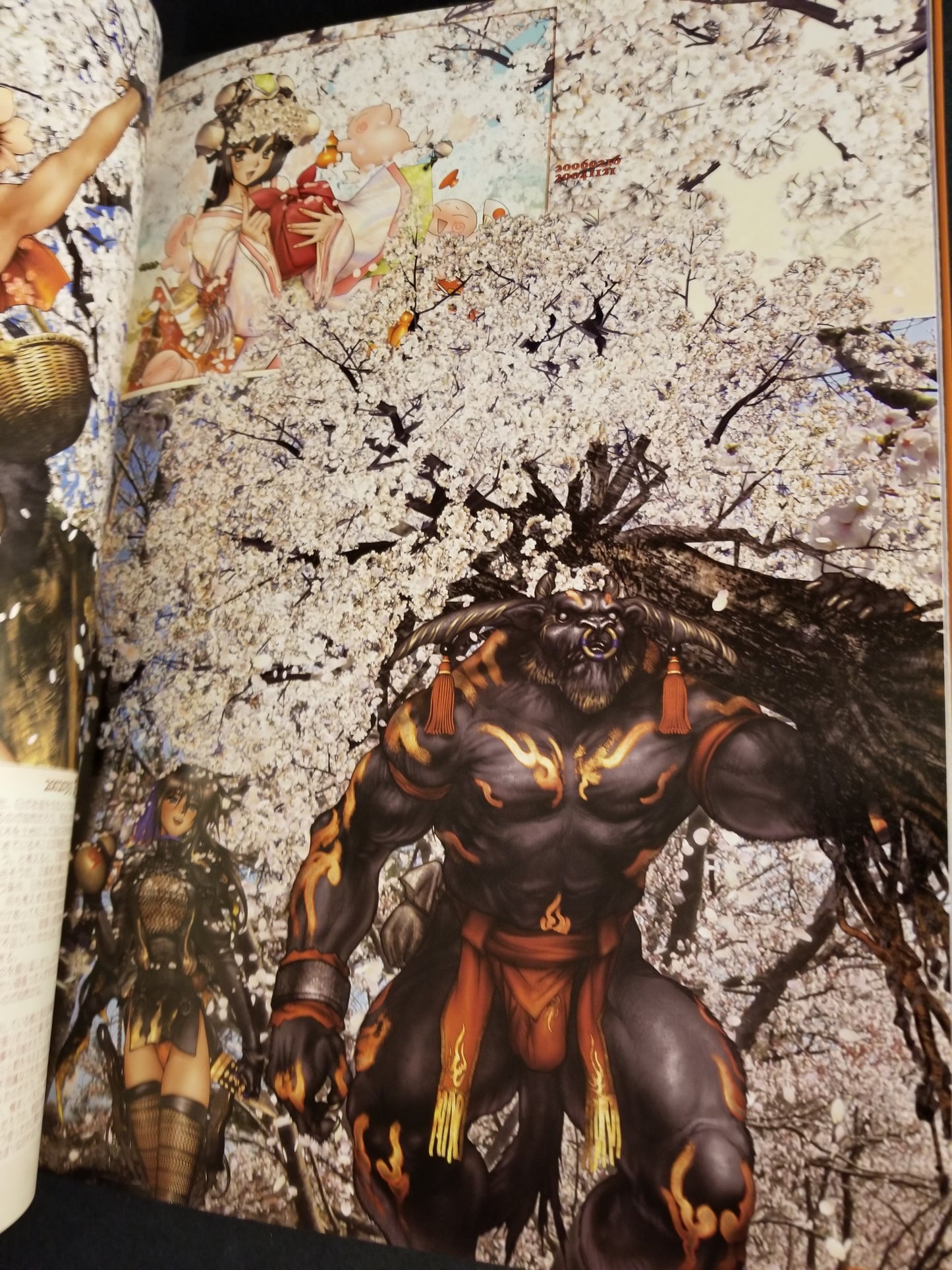 Kokin TogiHime Princess Zoushi Art Book