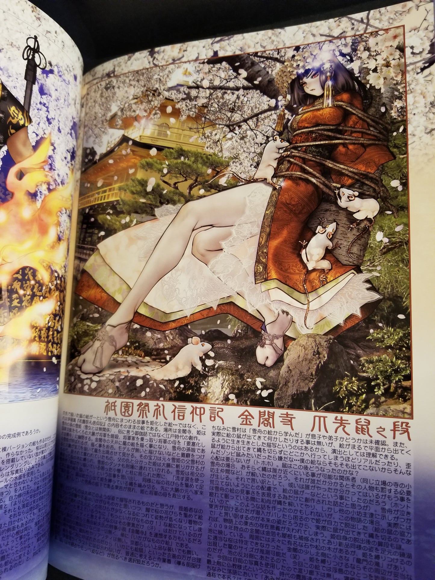 Kokin TogiHime Princess Zoushi Art Book