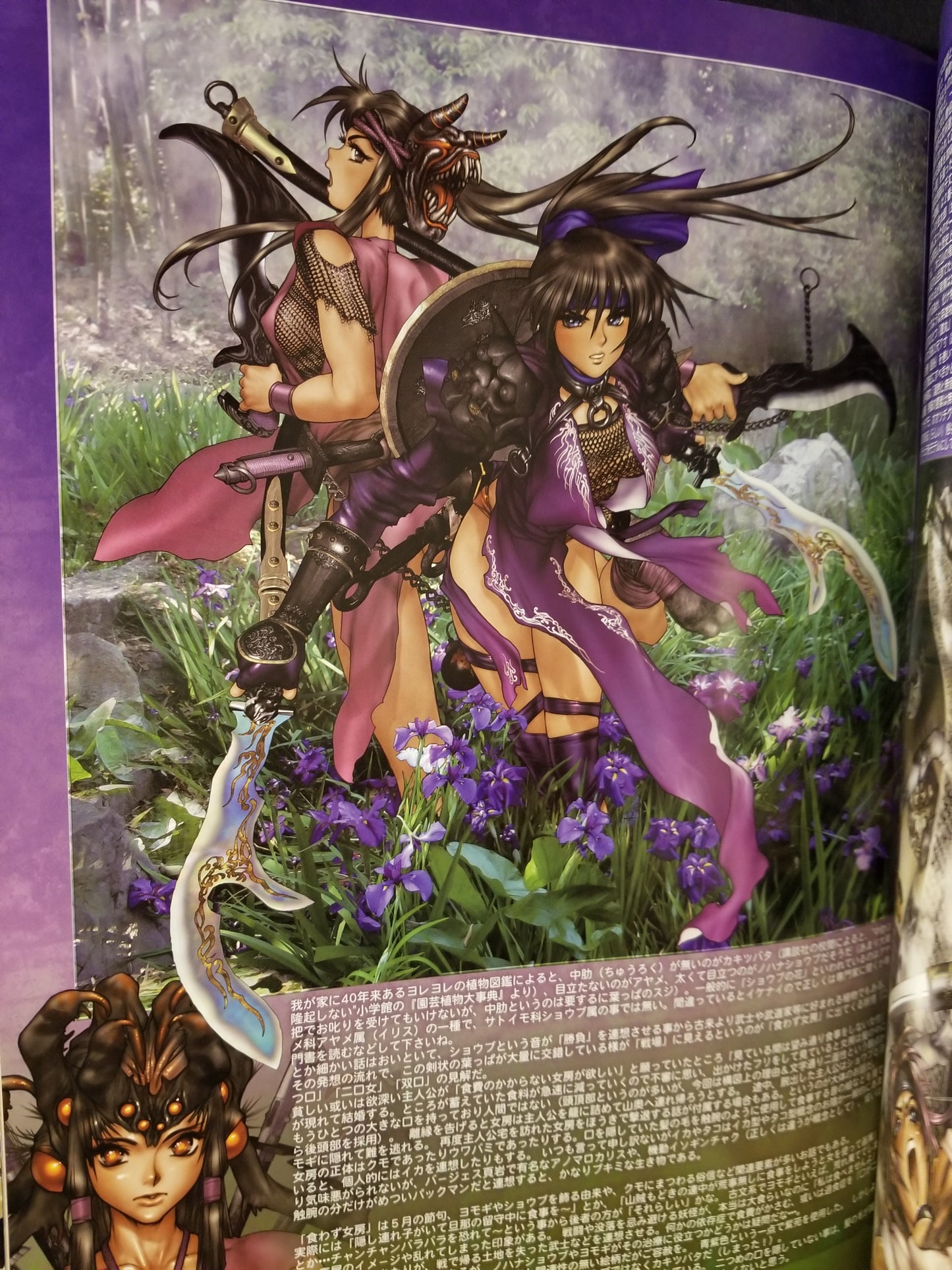 Kokin TogiHime Princess Zoushi Art Book