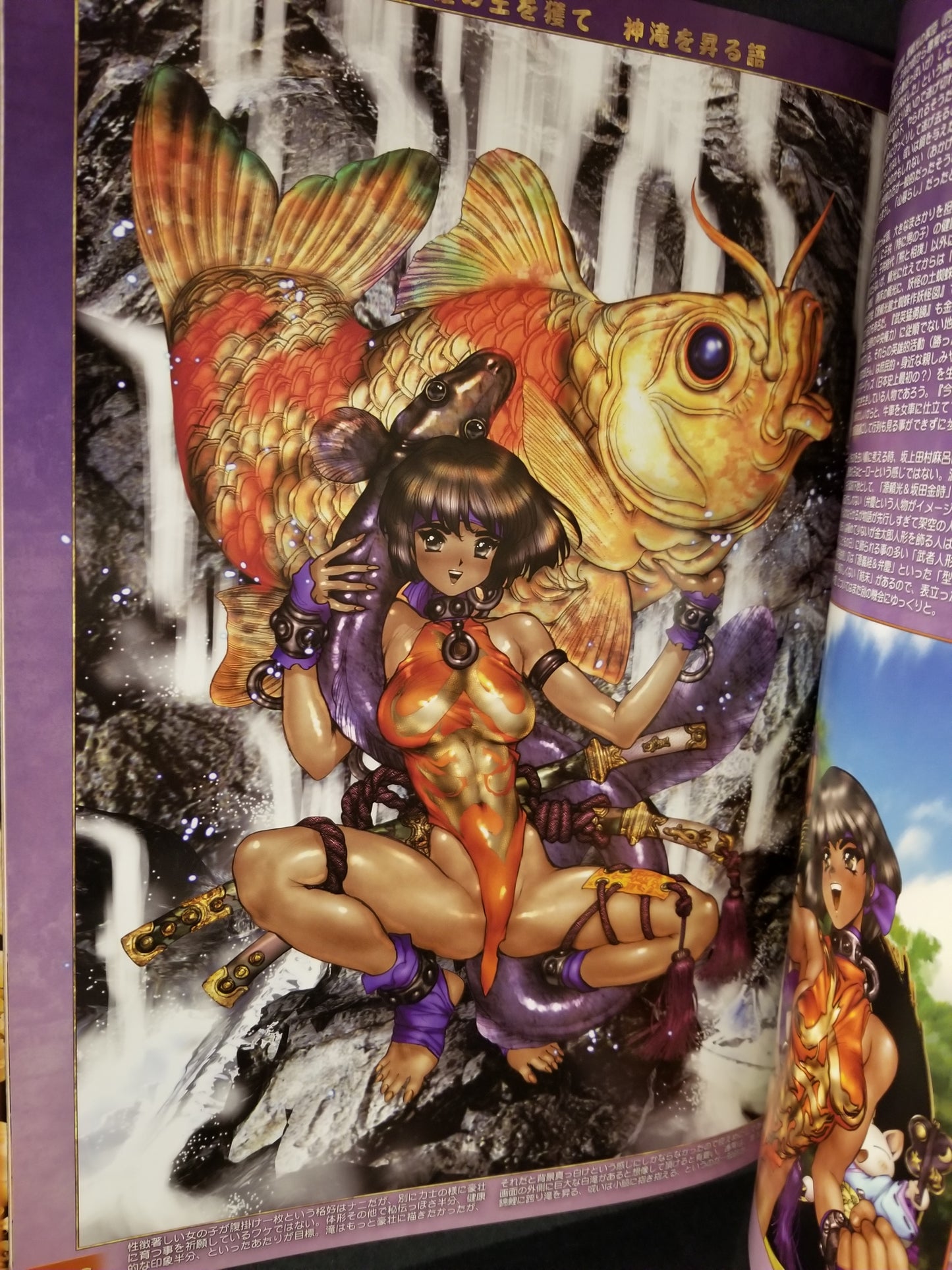 Kokin TogiHime Princess Zoushi Art Book