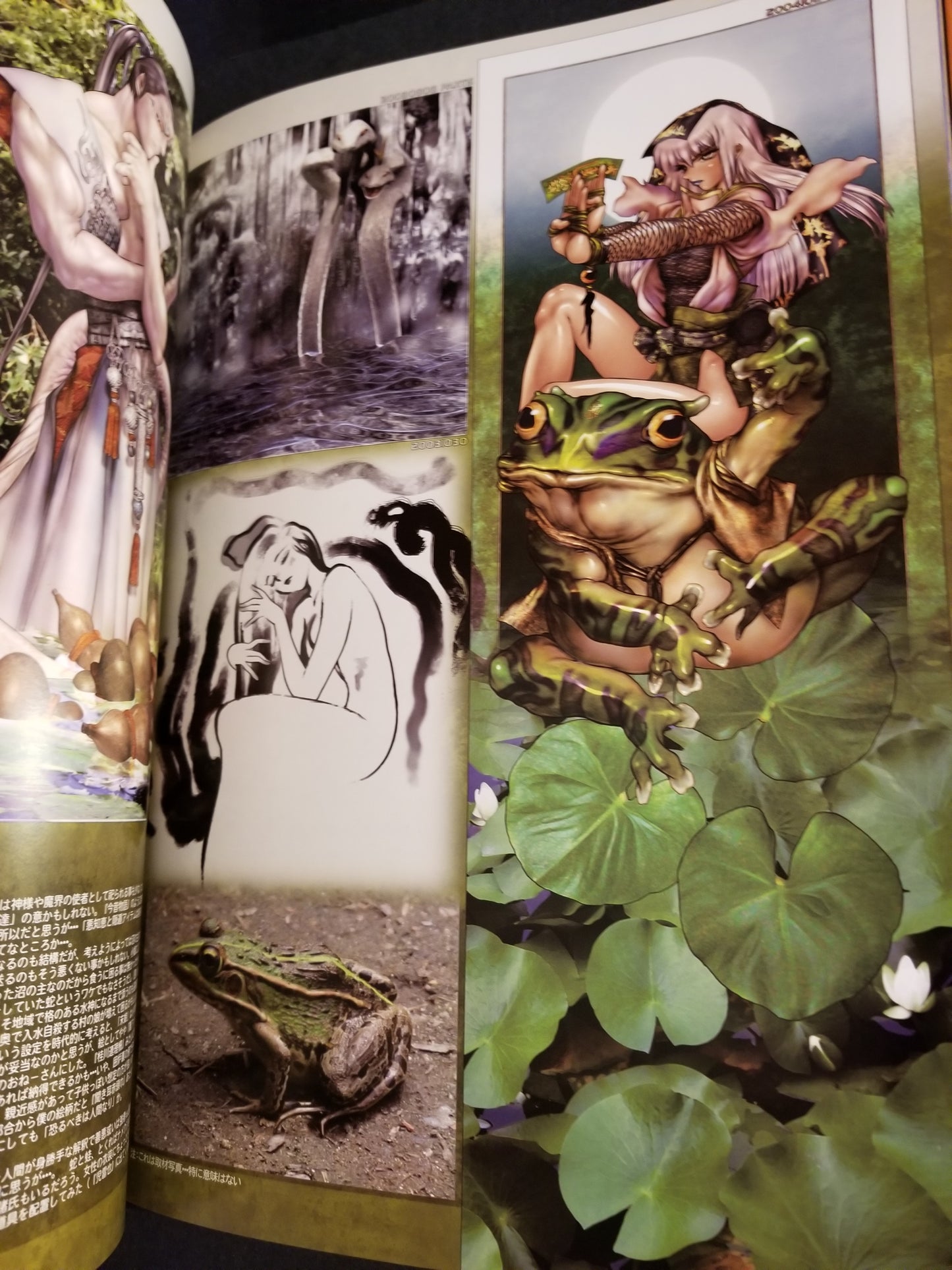 Kokin TogiHime Princess Zoushi Art Book