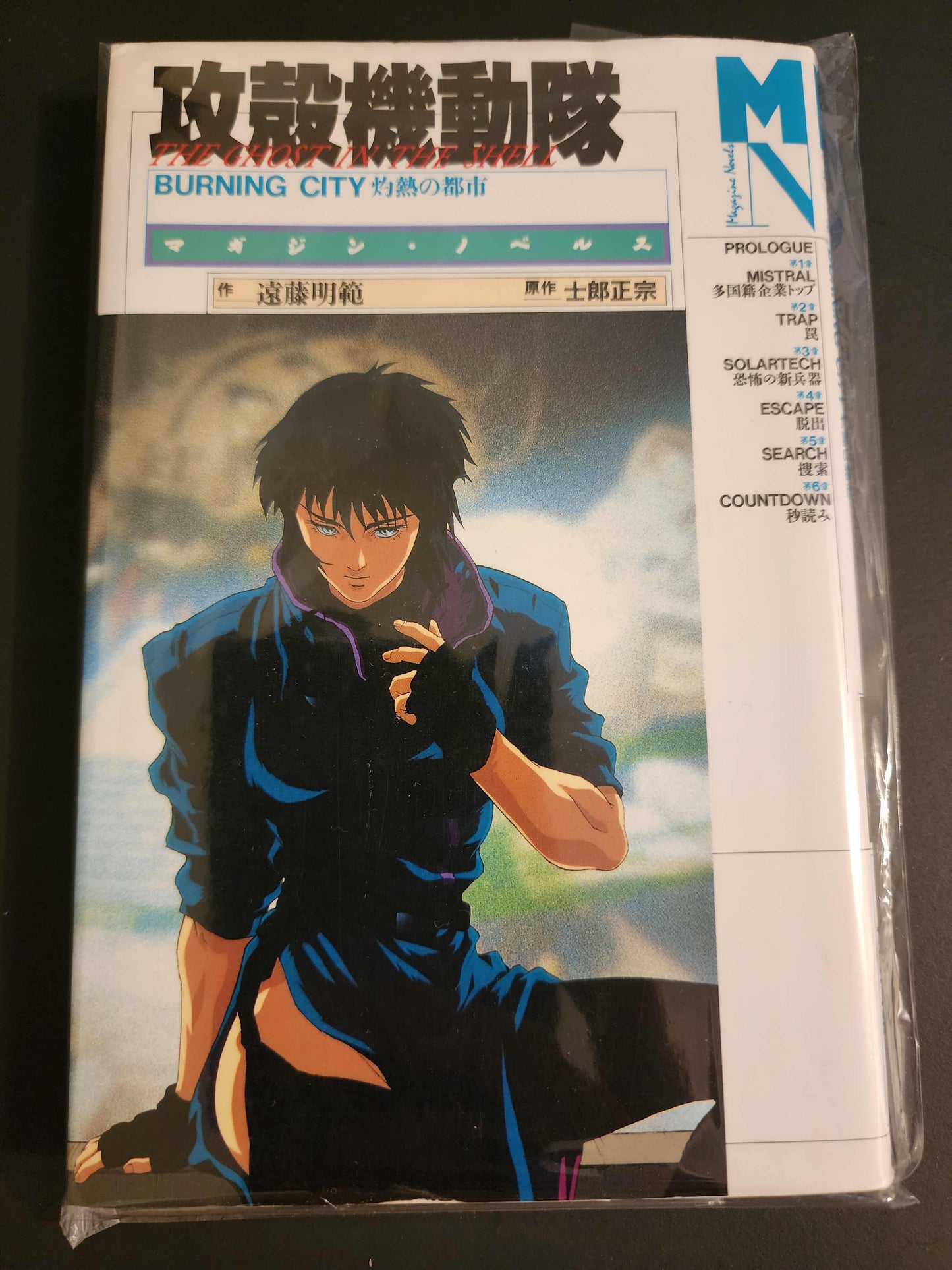 Ghost in the Shell Burning City