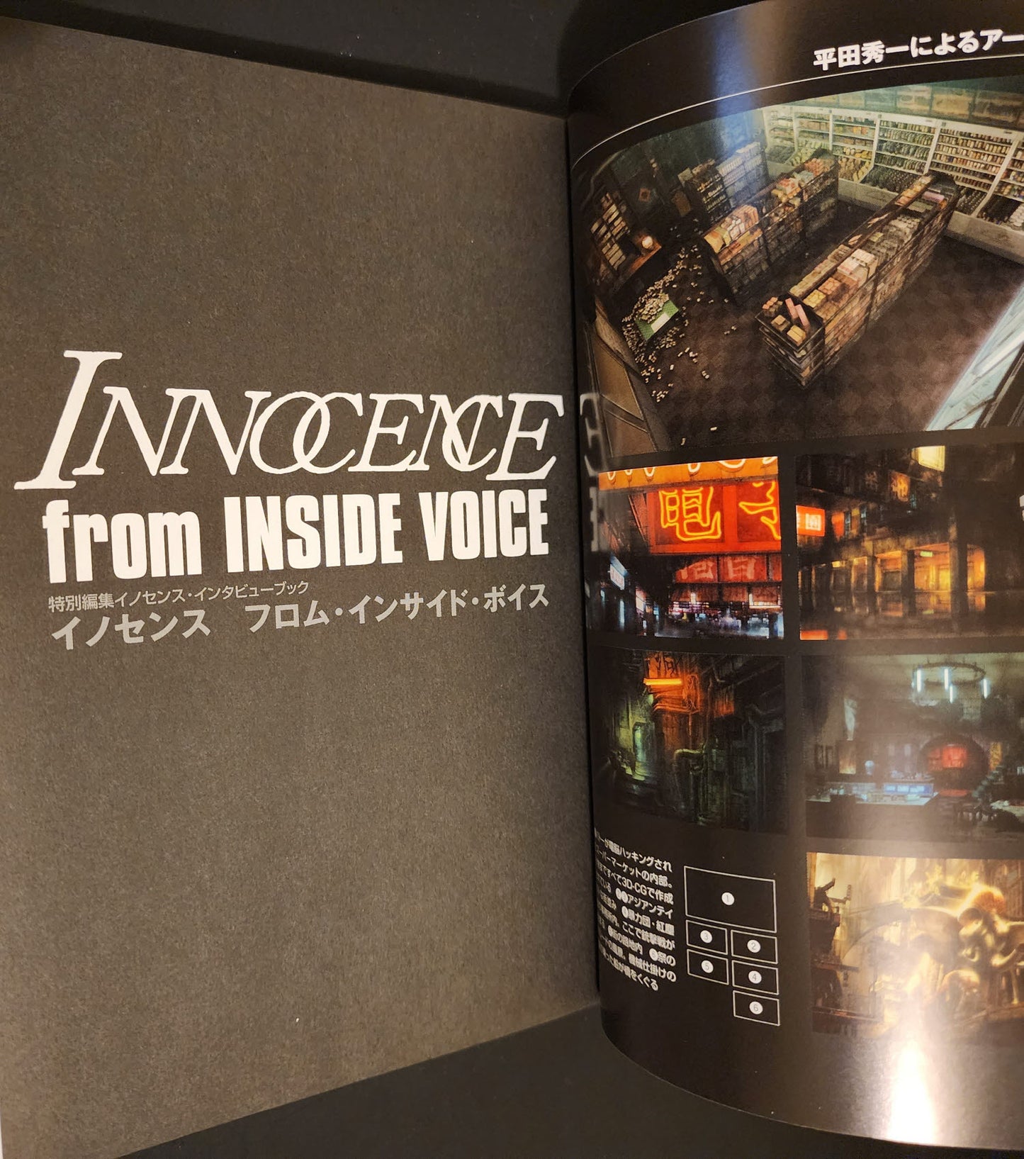 Innocence from Inside Voice Book Ghost in the Shell