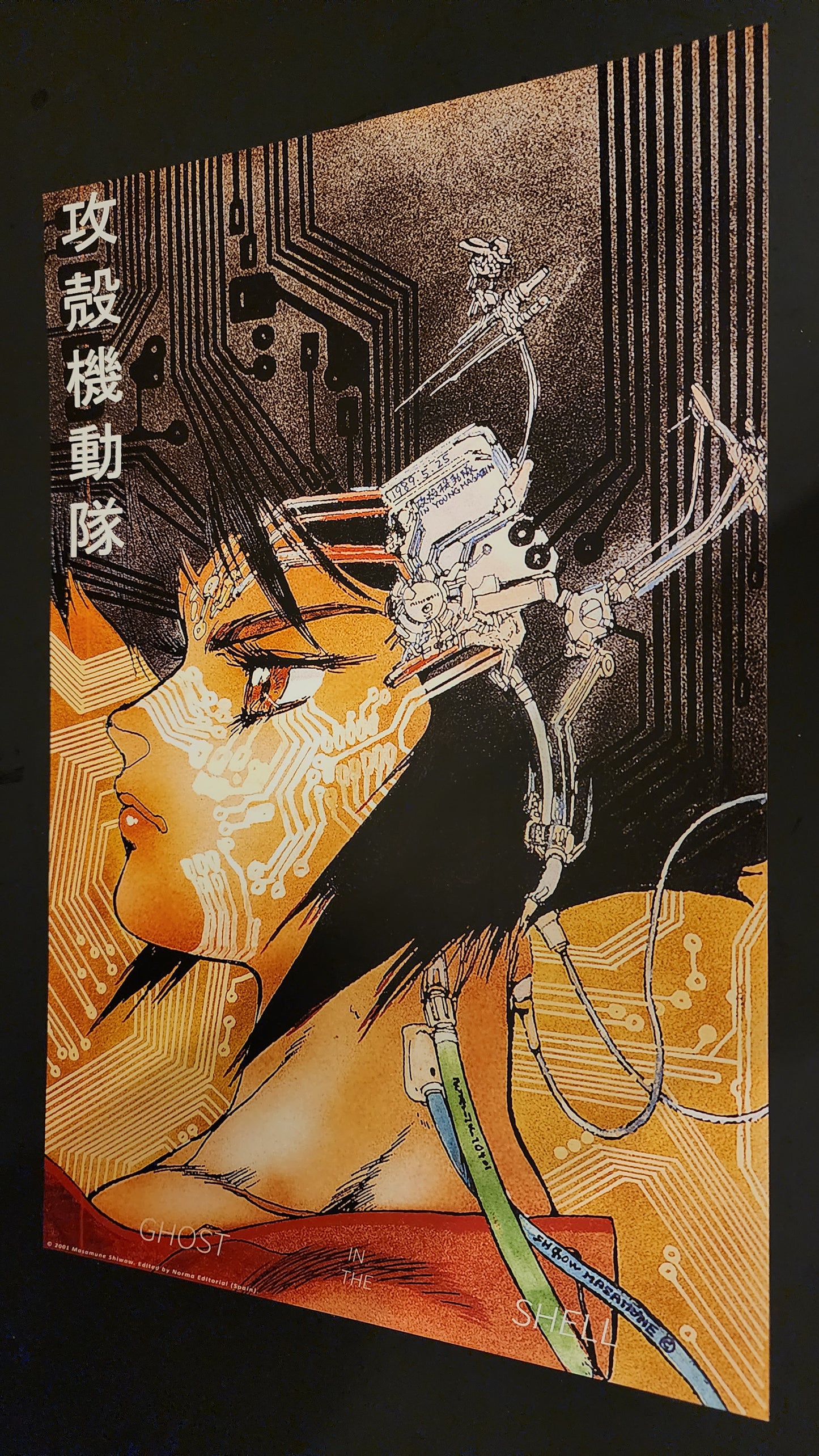 11 Ghost in the Shell posters + Lg Envelope 2001