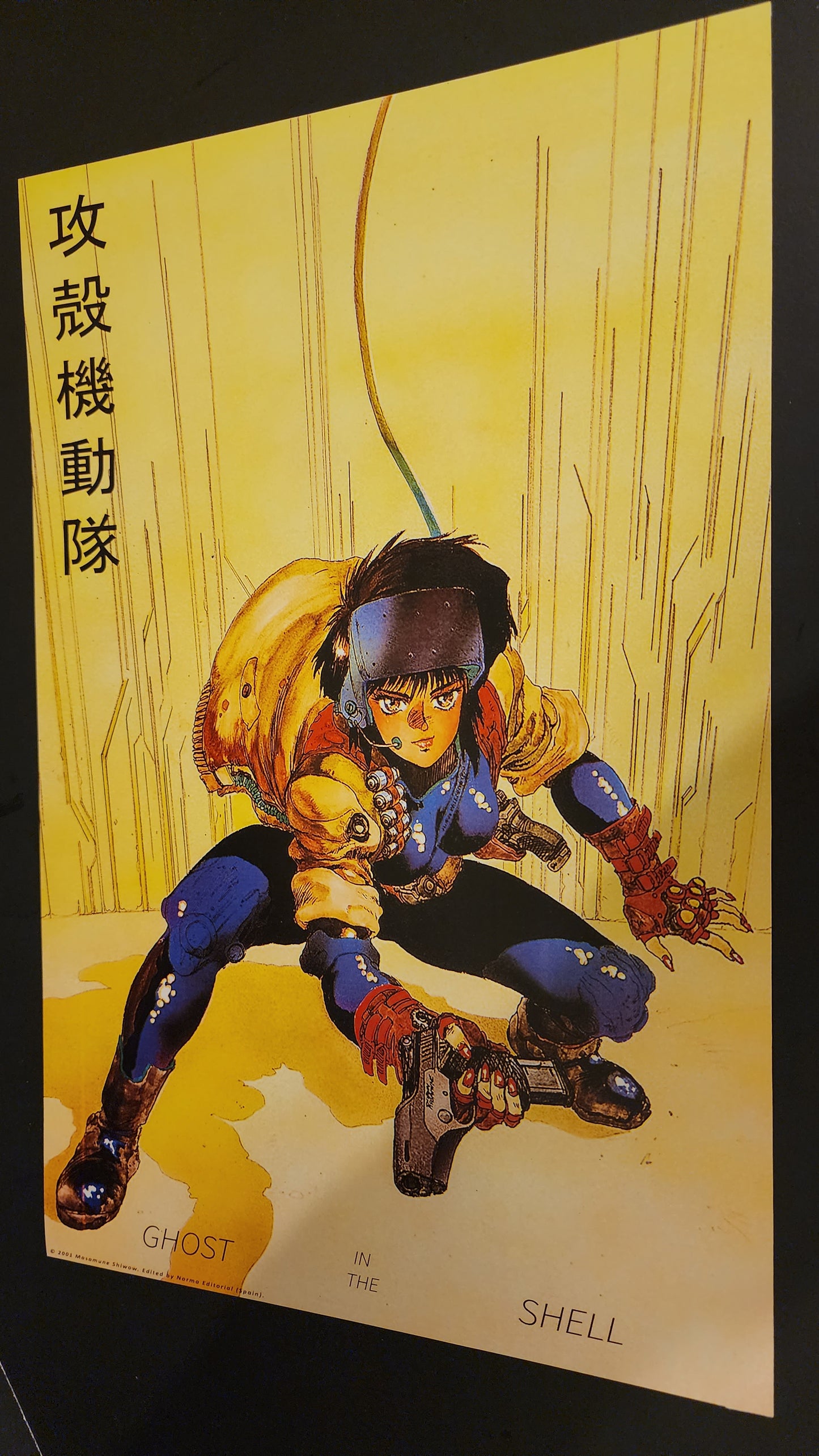 11 Ghost in the Shell posters + Lg Envelope 2001