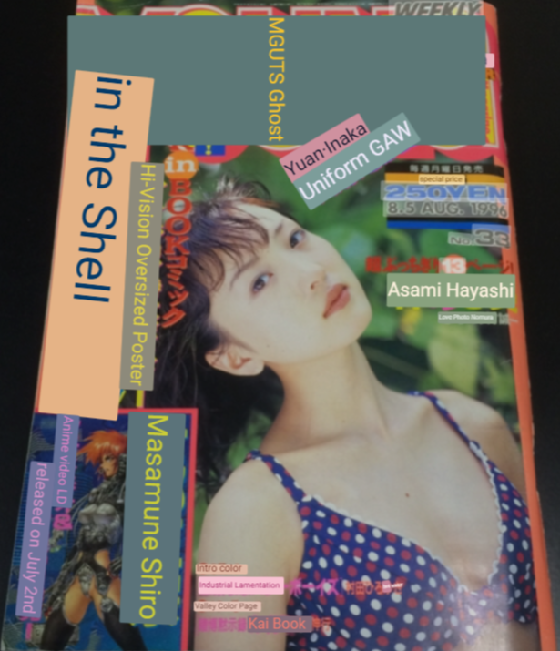 Young Magazine 1996 #33 Book in Book JP
